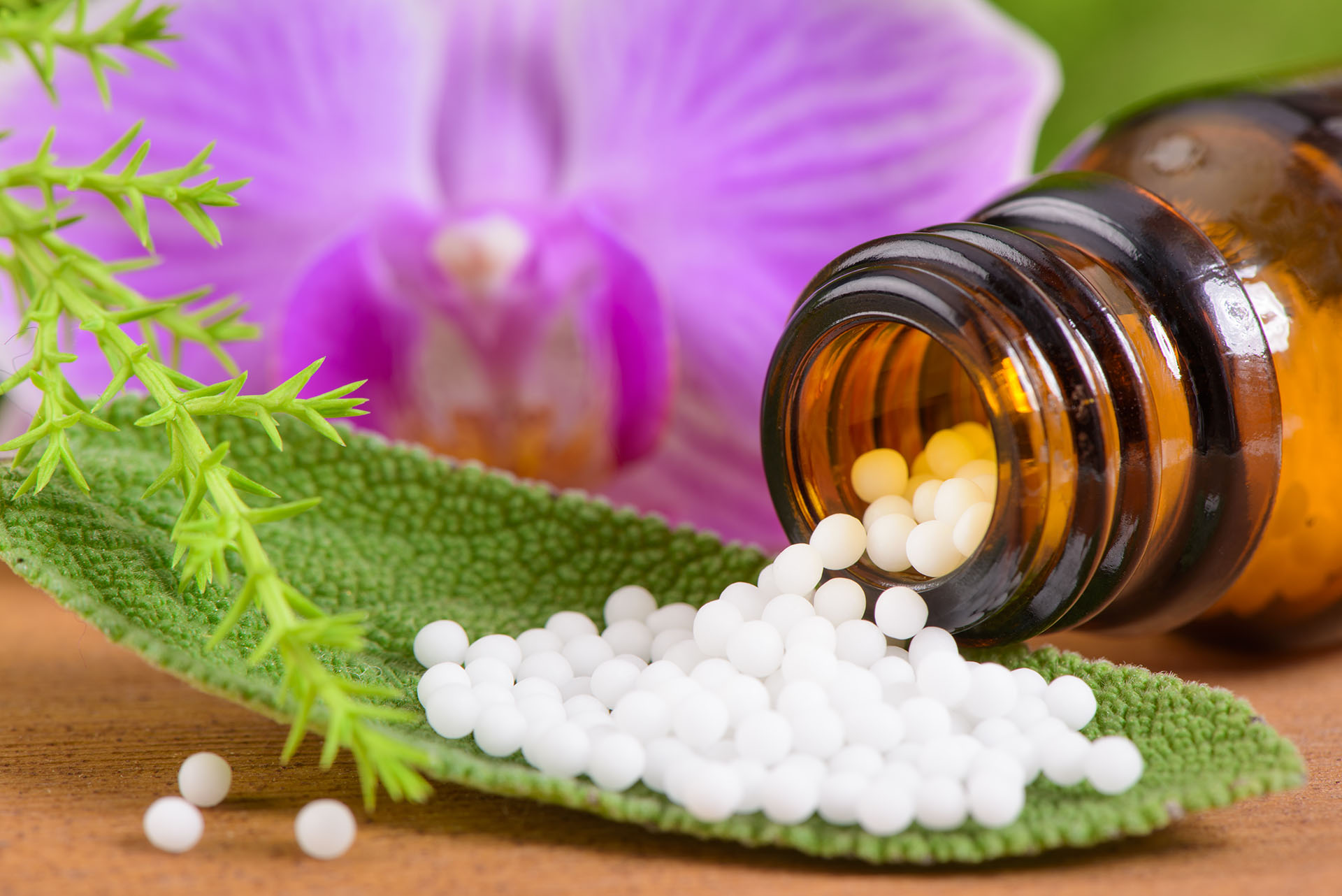 flacone da cui escono pillole omeopatiche su un sfondo botanico