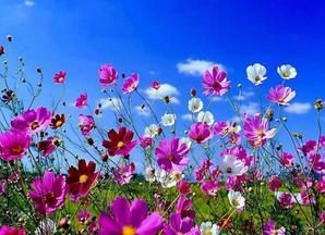 foto paesaggio primaverile